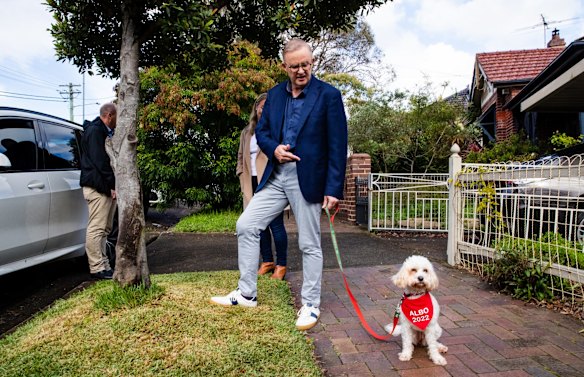 The incoming Prime Minister Anthony Albanese, partner Jodie Haydon and dog Toto walking out of his Marrickville house.