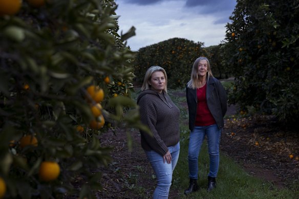 Jo Brighenti and Debbie Buller on an Orange Farm in Griffith. Jo Brighenti's family has been growing oranges for four generations, with some of the trees bearing fruit since the 1930s. Debbie Buller runs a farm growing crops such as rice and wheat, and grazes sheep on her farm near Leeton. She is also president of the Murrumbidgee Valley Food and Fibre Association. 