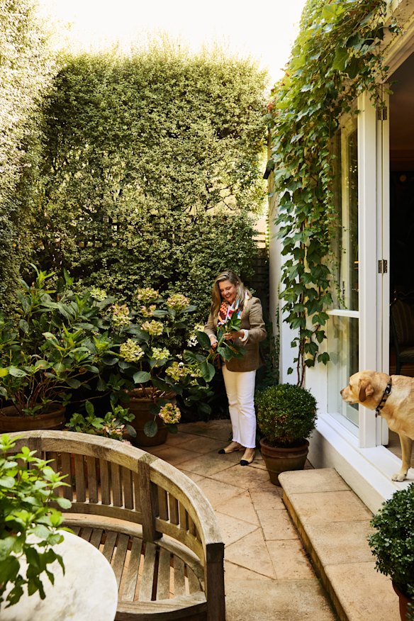 “We were lucky to inherit established trees in the back courtyard as they form an
amazing wall of privacy,” says Brownlow. “I’ve since planted the Boston Ivy.”