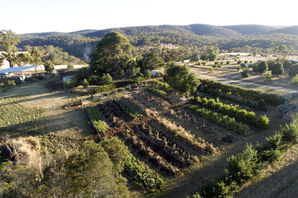 An aerial view of the Glenluce property, including the productive rows.