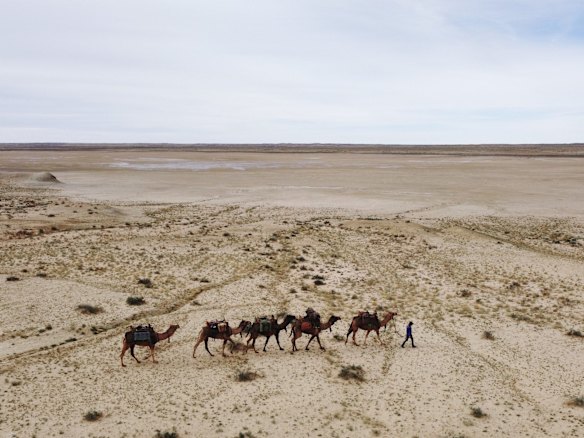 An aerial view as Sophie Matterson crosses the South Australian desert with her five camels on  near Oodnadatta, Australia. Sophie Matterson, 32, is on a 5,000km journey - walking with five camels coast to coast from Australia's western-most point in Shark Bay, Western Australia, to its eastern-most point in Byron Bay, New South Wales. 