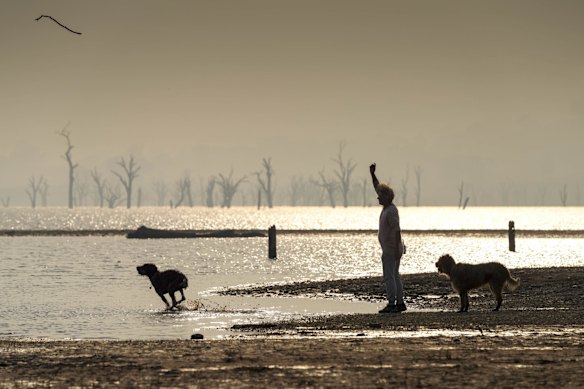 Kiewa resident Heather Hall walks her dogs Gus and Bonnie, at Lake Hume which covers in thick smoke haze caused by the fire. 10 January 2020. The Age News. Photo: Eddie Jim.