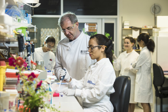 The chemist: Professor David Craik, in his lab at the University of Queensland.