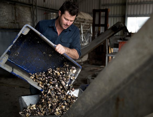 Oyster farmer, Ewan McAsh, with on the Clyde River in Batemans Bay.