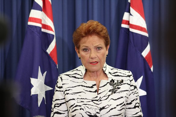Pauline Hanson appeared before the media in Brisbane on Friday after Angus Taylor sacked Sussan Ley as federal opposition leader.