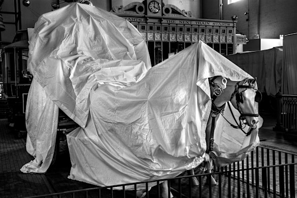 A horse-drawn omnibus which has been covered and protected from dust and sunlight in the Powerhouse Museum, Ultimo.