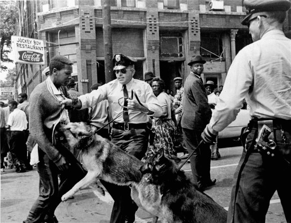 A 17-year-old civil rights demonstrator, defying an anti-parade ordinance of Birmingham, Ala., is attacked by a police dog in this May 3, 1963 photograph.