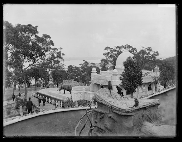 Monkey enclosure overlooking the elephant house, Taronga Zoo, September 1916.