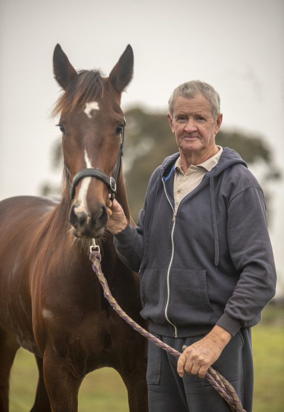 Flying filly: trainer-driver Ross Adams with Vincenzina in preparation for the Breeders Challenge at Menangle on Sunday.