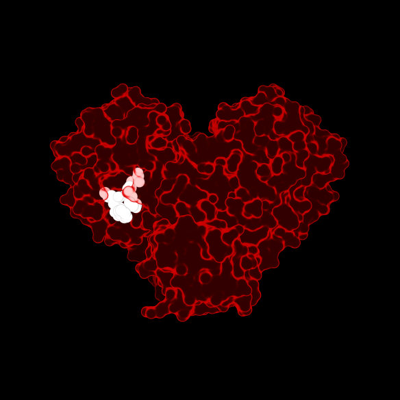 This red heart depicts the atomic structure of a COVID-19 virus protein. The white cluster inside it is a drug-like molecule that prevents the virus from replicating.