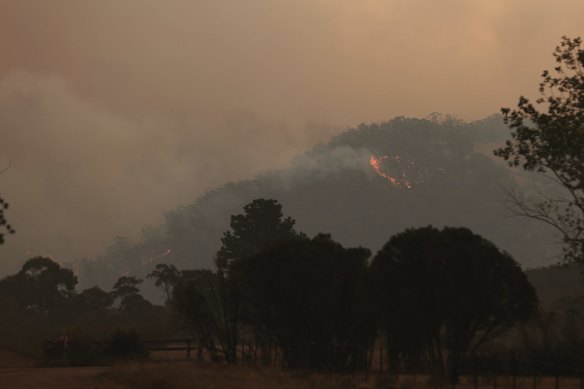 North Black Range bushfire seen near Bombay, NSW.