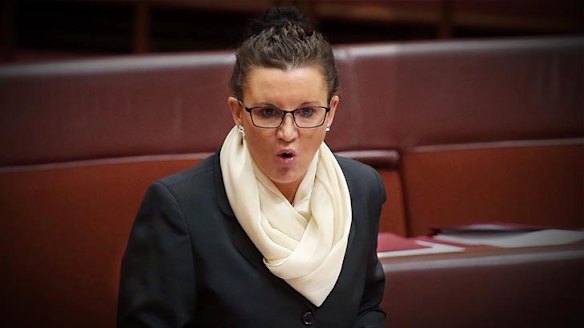 Jacqui Lambie is a wildcard in the new Senate. 