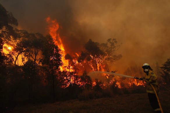 Wollemi Fire. Fire fighters battle flare ups on Wheelbarrow Rd in Colo Heights today.