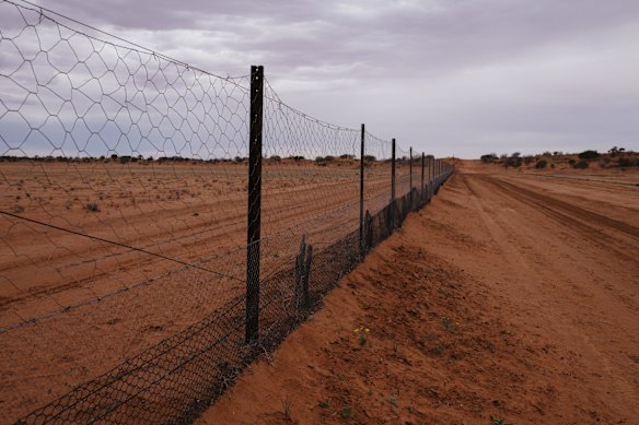 Blocked borders road trip
