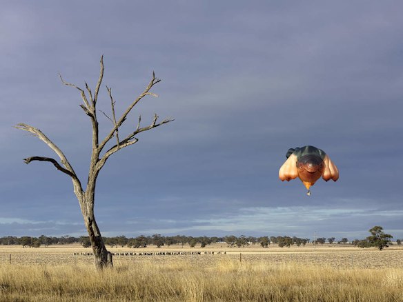 Sky Whale hot air balloon flies near Mt Arapilies, Western Victoria.