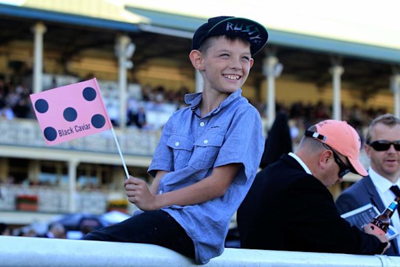 Darren Bowen, 8, keen to see Black Caviar.