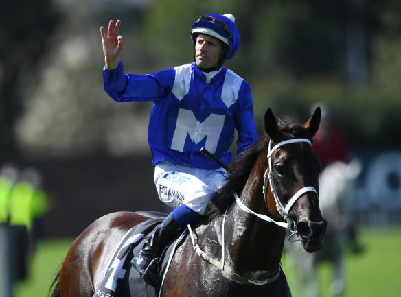 Salute: Winx is again a heavy favourite, but her price could be better than it has been in over a year.