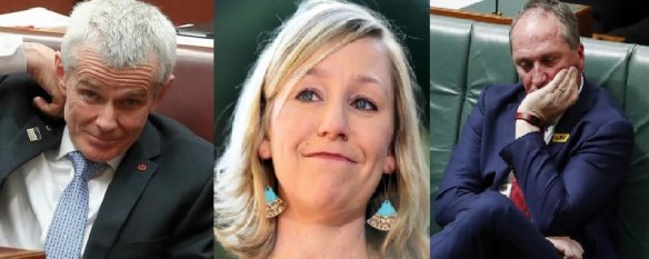 Malcolm Roberts, Larissa Waters and Barnaby Joyce have all been caught up in the citizenship saga.
