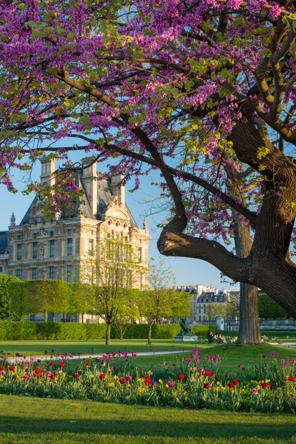 Jardin des Tuileries with Musee du Louvre beyond.