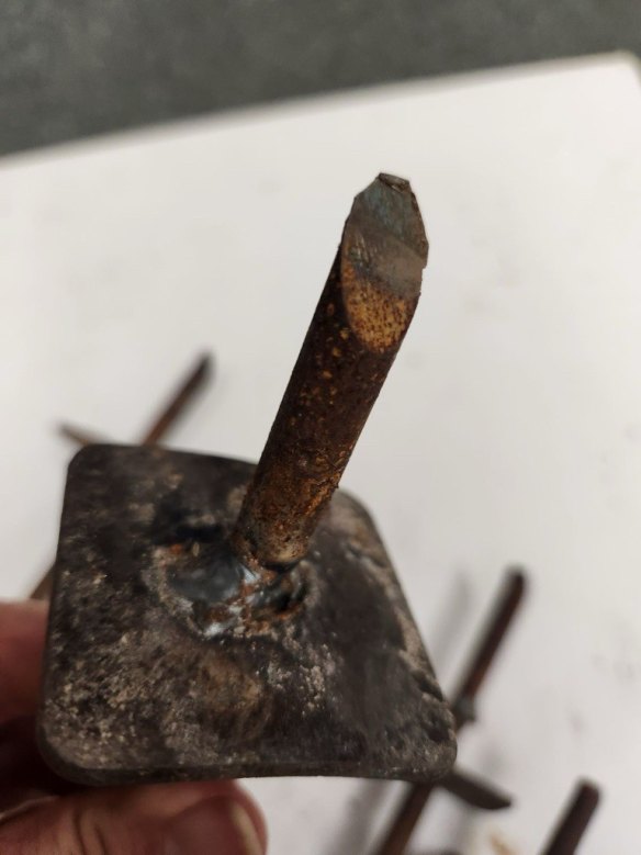 Queensland Parks and Wildlife Service rangers have removed a total of 13 metal spikes from bike trails in Tewantin National Park.