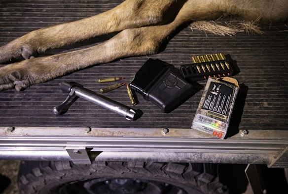 Rifle bolt and .223 ammunition lie next to a recently head shot Rusa deer on the back of a ute.