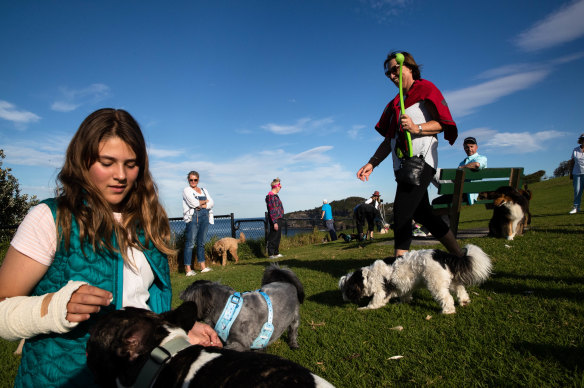 Residents are divided over a proposal by Northern Beaches Council to create off-leash dog areas at Palm Beach and Mona Vale Beach.