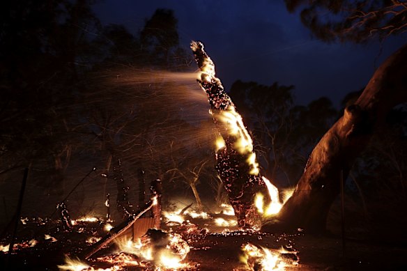 The North Black Range bushfire.