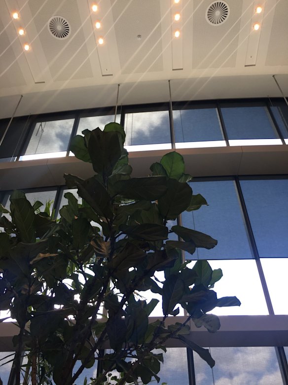 The first look inside 1 William St, also known as the Tower of Power, before the government's public servants begin to move on October 21, 2016.?