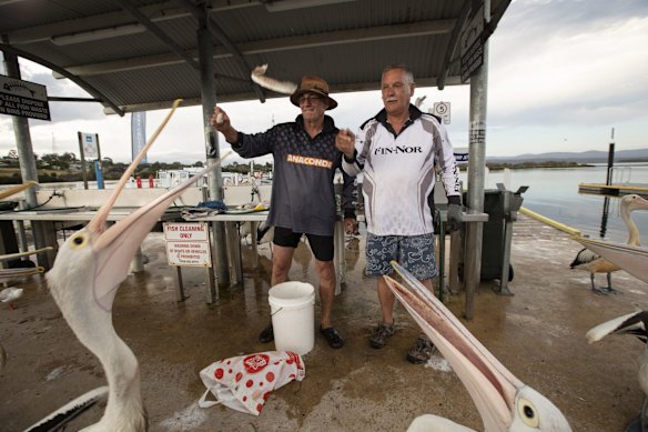 Mallacoota Wharf