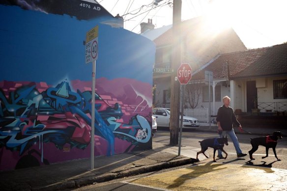 Artwork by Sid Tapia, 112 Lennox St, Newtown. Marrickville Council is pairing street artists with homeowners to make giant murals on their walls and deter graffiti artists.