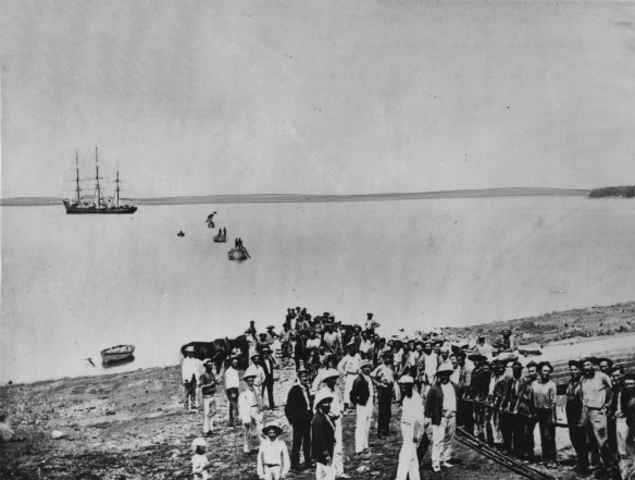 Bringing the telegraph cable shore from Hibernia at Darwin
November 7 1871.