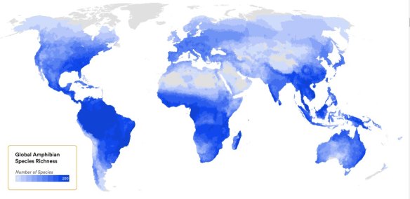 Global amphibian diversity shows that Australia has some of the richest species anywhere on the globe.