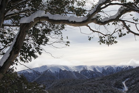 Winter is here. And with a bang! The snow gods have heard us and blessed the resort with an average of 35cm of snow in the past 48 hours and if you don't believe us hit up the snow cams and socials (@fallscreekresort). There is a snowstorm forecast for this weekend and long into next week to keep topping it up and add to the Falls Creek ski-in / ski-out experience. Falls Creek Resort Management Board has declared the snow season open from Saturday, June 4th 2022. Yes, 1 week early!