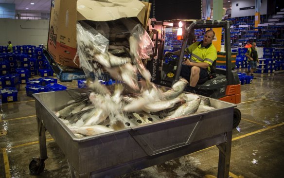 More than 90 per cent of seafood sold at the Sydney Fish Market arrives by truck.