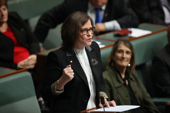 Labor MP and former union boss Ged Kearney pointed the finger at "racist dogwhistling" toward refugees in parliament.