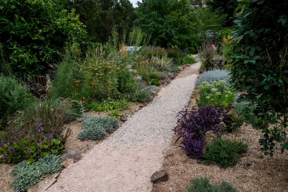 Grasses and perennials provide the main structure in these beds