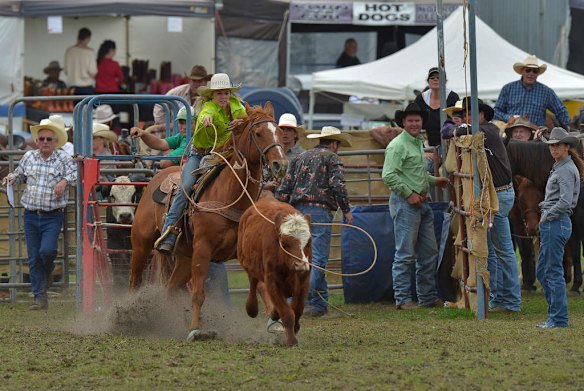 Thrills and Spills From The Lang Lang Rodeo