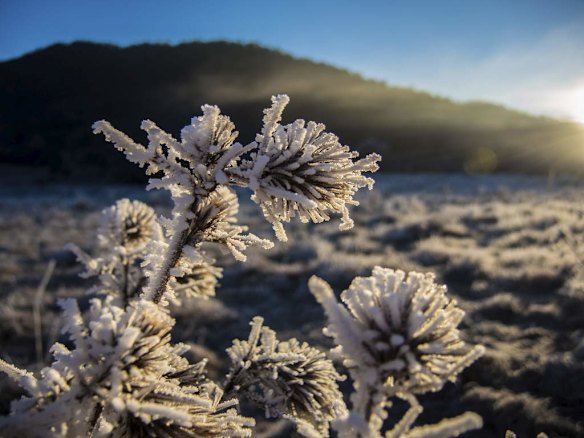 Rendezvous Creek in Namadgi National Park - at sunrise last Friday morning.? It was well below zero with frost covering everything.
