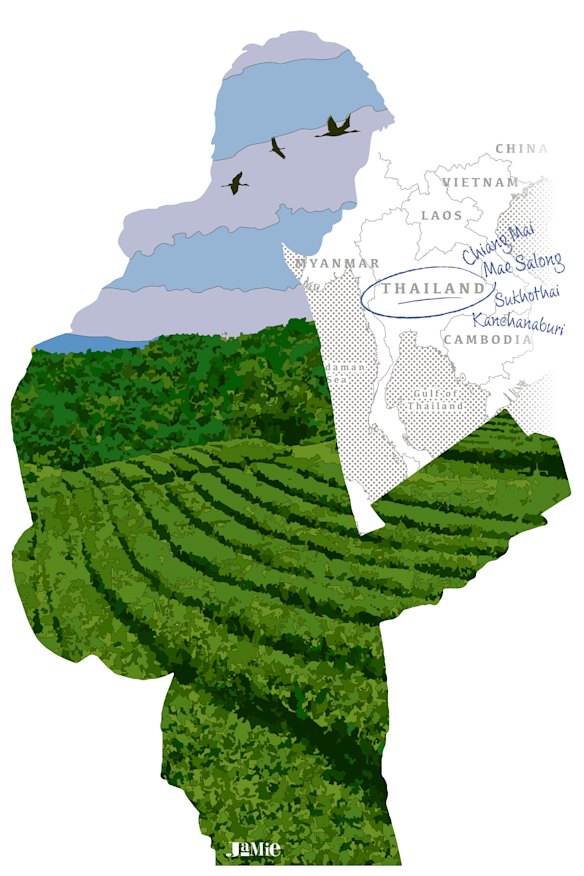 Illustration: Jamie Brown