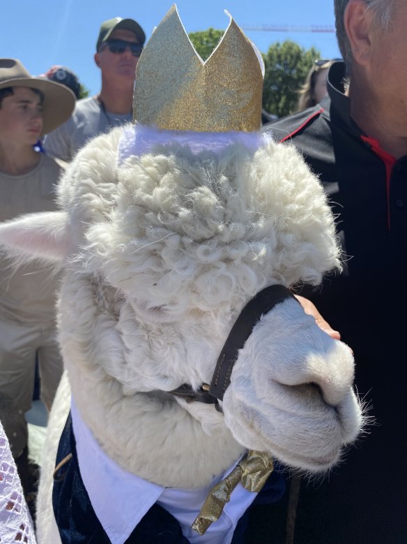 Hephner prepares for his royal meeting.