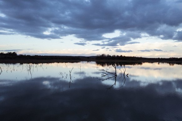 Lake Wyangan near Griffith which is sometimes used as the towns water supply during drought. Run off water from nearby farms feed into the lake making it potentially poisonous.