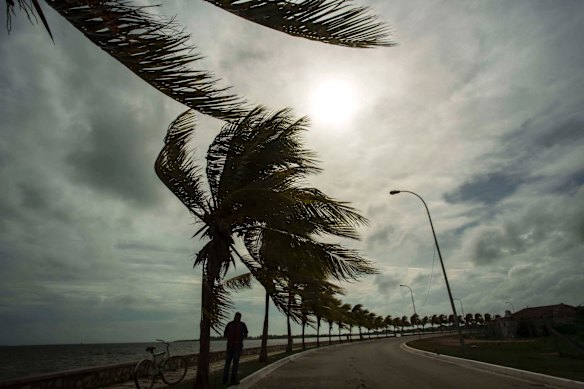 Winds brought by Hurricane Irma blow palm trees lining the seawall in Caibarien, Cuba.