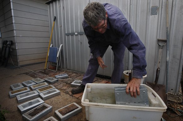 He collects some two dozen industrial grade perforated steel traps, submerging them in water to drown the rodents and then disperses them into his fields.