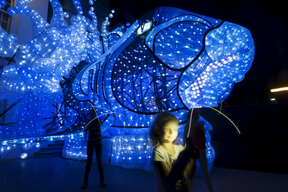 Visitors will walk through the mouth of a luminous Port Jackson shark during the Vivid Festival at   Taronga Zoo.