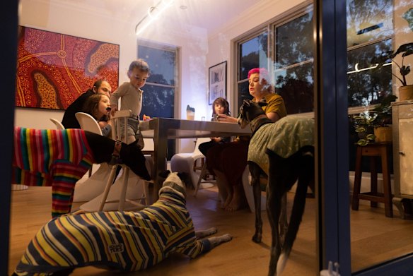 Greyhound Rescue President, Nat Panzarino, having breakfast with her family, (L-R) husband, Michael, and children, Luca, Esme, and Arlo. Her dogs (L-R) Dos, Daisy and Elly May hover near the table hoping for food to be dropped. She says Greyhound Rescue has received a huge number of calls from people during Sydney's lockdown, hoping to have a dog for two weeks, but she has told them it is not in the best interest of the dog. Greater Sydney was again forced into lockdown restrictions after there were numerous community transmissions of the Delta strain of Covid-19. 