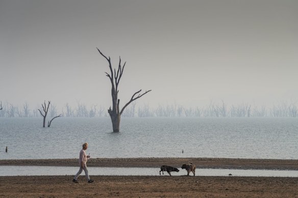 Kiewa resident Heather Hall walks her dogs Gus and Bonnie, at Lake Hume which covers in thick smoke haze caused by the fires. 