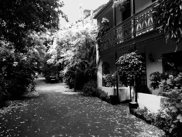 A street in the area known as Paddinghurst.