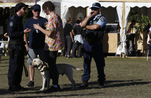 A police sniffer dog squad speak to a festival goer at Splendour last Saturday.