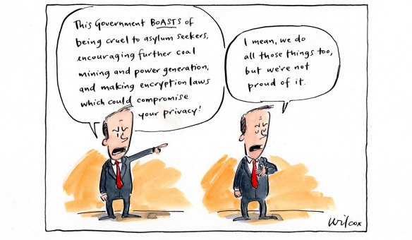 Today's editorial cartoon by Cathy Wilcox