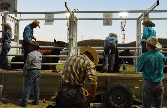 Easter Show Rodeo